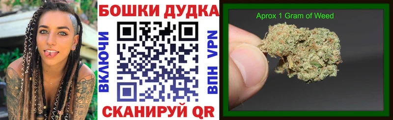 hydra   наркотики  Динская  Бошки марихуана Amnesia 